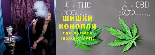 сатива Нефтекумск