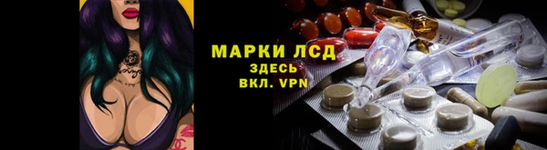 спайс Нея