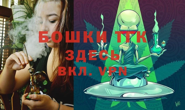 спайс Нея