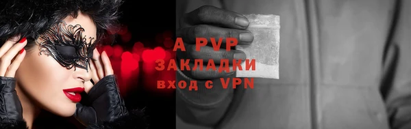 сатива Нефтекумск