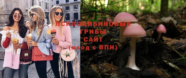 сатива Нефтекумск