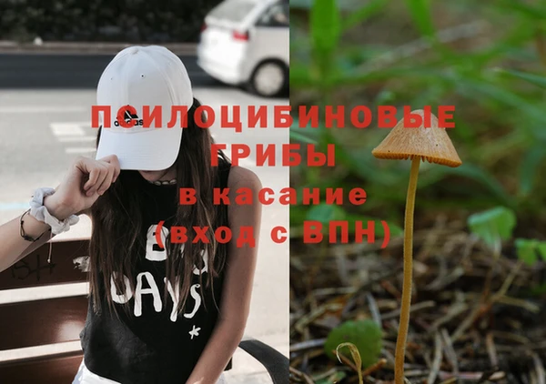 сатива Нефтекумск